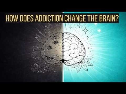 How does addiction change the brain?