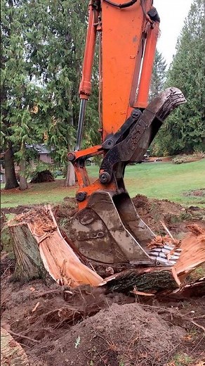 REMOVING LARGE TREE STUMPS WITH EXCAVATOR THE EASY WAY!