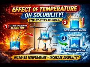 Effect of Temperature on Solubility | Step-by-Step Experiment 🔥🧪 | Easy Chemistry Practical