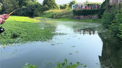 Catfishing 💪#fishing #catfish #viral #foryou #europe