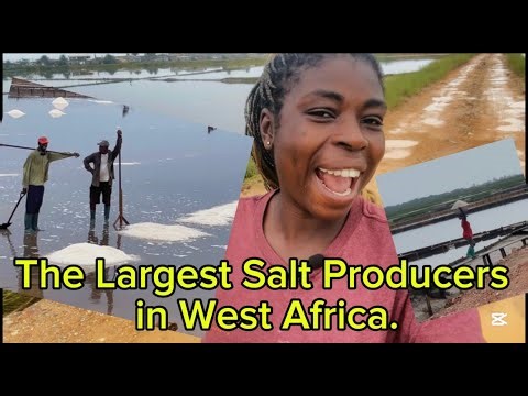 Where the Sea Turns into Salt: The Story of Pambros