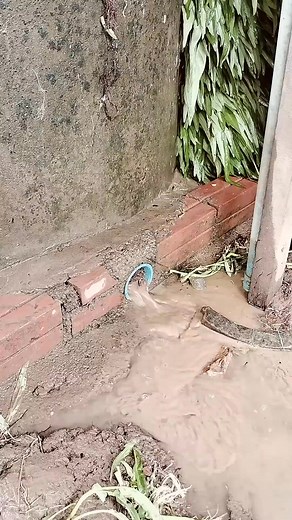 Unblock Culvert Pipe Drain Water #drain #unclog #remove #culvert #shorts | Billiam Briggs