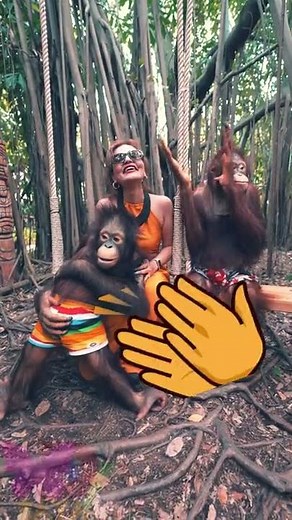 🦧 Lovely Orangutan flirting me 💓 in Safari World Park Bangkok Thailand - Lifetime experience