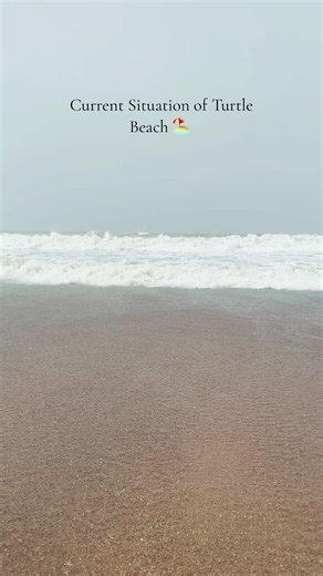 Exploring Karachi's Turtle Beach in the Summer