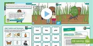 'y' saying /igh/ Lesson Pack - Level 6 Week 1 Lesson 2