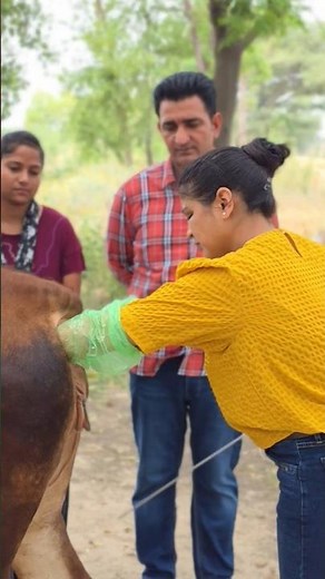 Animal Training Course | 100% Rojgar Guarantee | Career in Animal Care