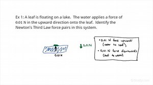 How to Identify Newton's Third Law Force Pairs in Fluids | Physics | Study.com