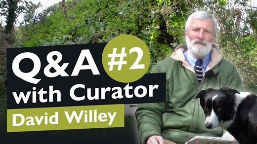 Why WWI Tanks Resurfaced in WWII | Curator Q&A