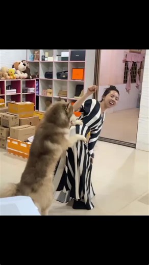 #dogknotting #knotting #dogknottinggirl #dogmomlife #k9softiktok