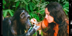 Documentary Feature LUCY THE HUMAN CHIMP To Stream In The U.S. Exclusively On HBO Max