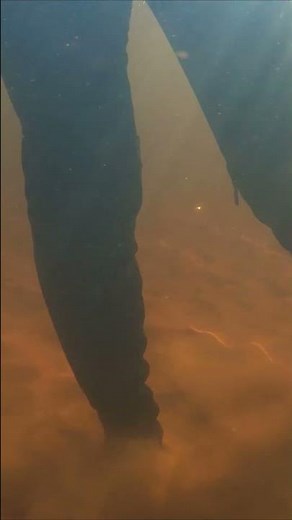 wet high leather boots, wet jeans and a wet short jacket in deep water Shorts