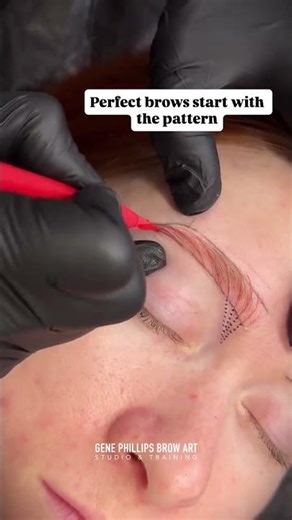 Μόνιμα Φρύδια (Μόνιμα Φρύδια) 🔥 | PMU Γονίδιο καλλιτέχνη Φίλιπς Τέχνη Φρυδιών Μικρομπλάντινγκ & PMU