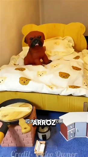 🔥 😱 ¡Sin comida en casa! Terminé pescando mi propia cena 🐟 #shorts