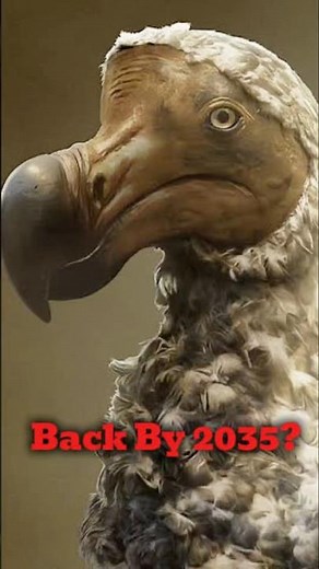 Scientists Are Bringing the Dodo Back… Here’s How 🦤