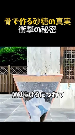 Did you know that sugar was made from animal bones? [The surprising history of sugar]