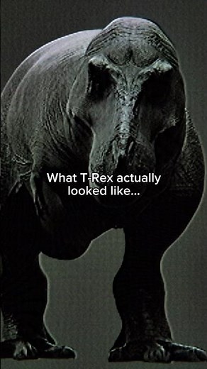 Accurate T-Rex is absolutely terrifying #prehistoric #dinosaur #trex #tyrannosaurus #scary #extinct