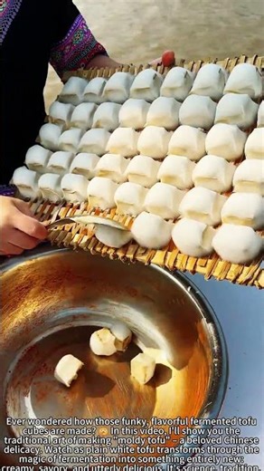 Making Fermented Tofu – Magic Mold Transformation! 🧈🤤