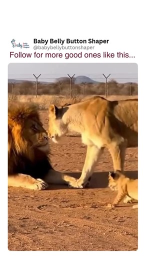 Baby Belly Button Shaper on Instagram: "Follow for more mom hacks, newborn tips, and must-know baby care tricks! 💬 Comment “GUIDE” and I’ll send you The Ultimate Baby Navel Guide — absolutely FREE! 🎁💕 ➡️Follow @babybellybuttonshaper for more baby and mom tips and tricks. ➡️Follow @babybellybuttonshaper for more baby and mom tips and tricks. ➡️Follow @babybellybuttonshaper for more baby and mom tips and tricks."