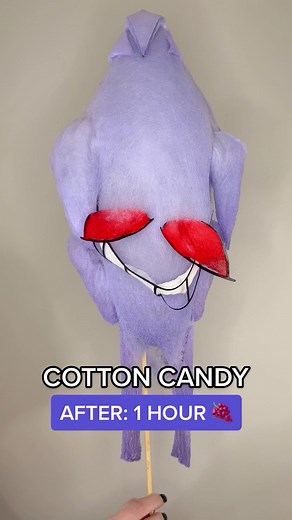 Gengar Pokémon Cotton Candy Melting Timelapse