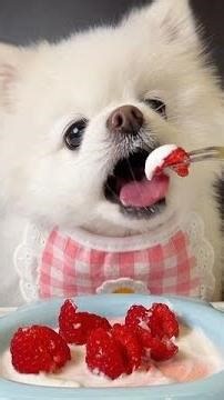 Today I had a red raspberry yogurt ~ It's been a while since I took a photo of drinking yogurt, so