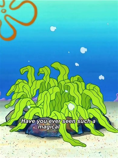 Funny Cartoon Adventures with Spongebob