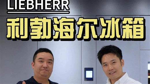 利勃海尔5220/5225/5265冰箱怎么选❓#测评#利勃海尔5220冰箱，利勃海尔5225冰箱，利勃海尔5265冰箱