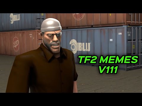 TF2 MEMES V111