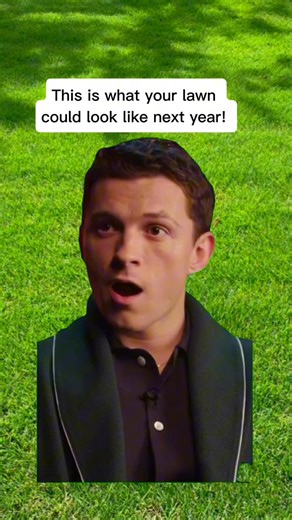 How?! . . Pre emergents!!  Pre-emergent herbicides are important...