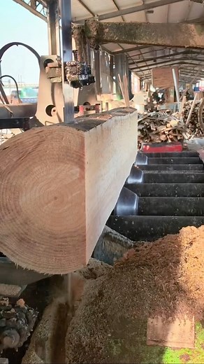 Wood processing 🪚✨ #TimberCraft #woodworking #sawmill #timberwork #woodcutting #carpentrylife #lumberwork #woodprocessing #diywood | TimberCraft