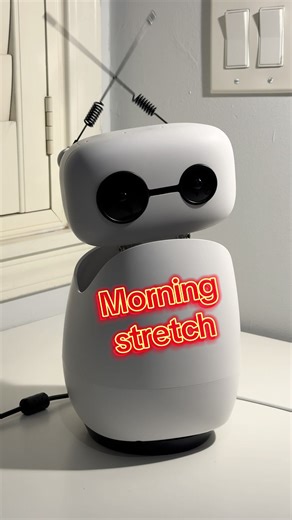 Booting Up: Morning Stretch of a Robotics Prototype
