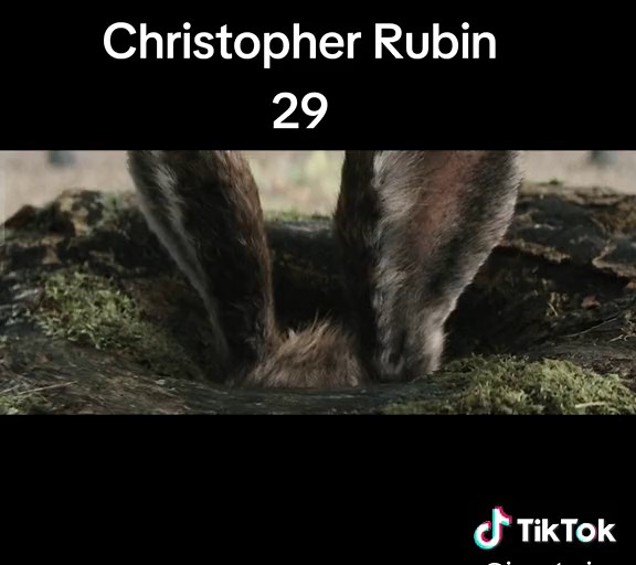 Christopher Robin's Adventure: Finding Pooh and Friends