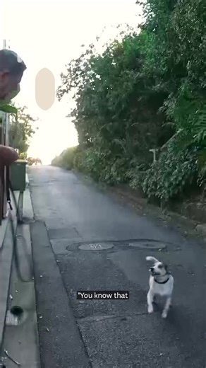 98K views · 1.1K reactions | Jim Rogers was diagnosed with younger-onset Alzheimer’s at 55. He wants to show that it’s possible to live well with the disease. Get the news that matters to you straight from the source. Download the ABC NEWS app: https://ab.co/abcnewsapp #Dementia #AustralianStory #Alzheimers #MentalHealth | ABC News | Facebook