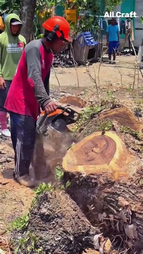 ROTTEN Tree Trunk Gets CUT CLEAN! This Wood Fix is SATISFYING to Watch! #woodwork #treecut #viral