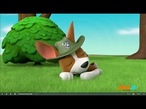Paw Patrol: Tracker Sleeping Dreams