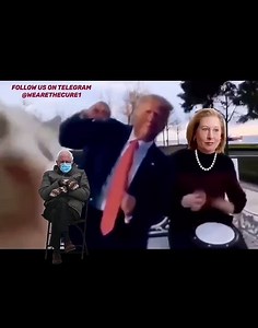 - 動画 Dailymotion