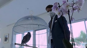 24 reactions | A mynah bird that was brought from Afghanistan by a girl fleeing the Taliban has learnt to say "bonjour" after finding a new home with France's ambassador to the United Arab Emirates. Ambassador Xavier Chatel said he was moved by the little girl, who arrived carrying the bird, named Juji, at the Al-Dhafra airbase in the UAE during the chaotic evacuations from Kabul. | AFP News Agency | Facebook