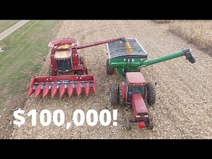 I Planted Free Corn... Was It Worth It?