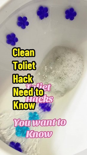 Toilet Cleaning Hacks and Tips for Black Build Up Removal