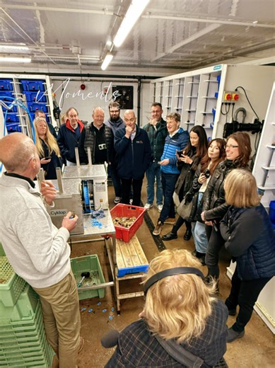 Exploring Shellfish Farming at Colchester Oyster Fishery