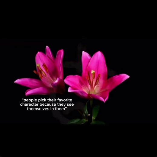 Exploring My Favorite Characters from Multiple Fandoms