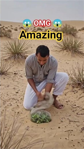 Man Hunting Birds in the Desert | Suspenseful Desert Survival Hunt | Mysterious Bird Hunter#shorts