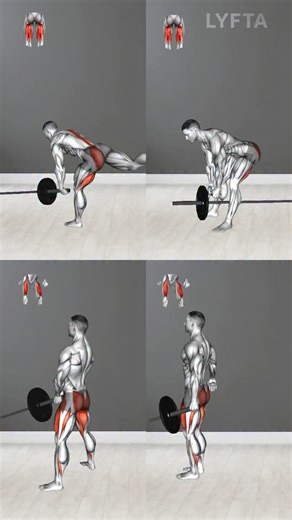 Hamstring & Quads Focused Exercises - With Landmine & Cable💪 👉 Download Lyfta for free and start tracking your workouts. 📲 App link in bio | Physiotip