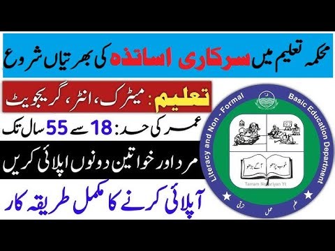 Teachers jobs in Literacy and Non-Formal Education Department 2025| Apply online