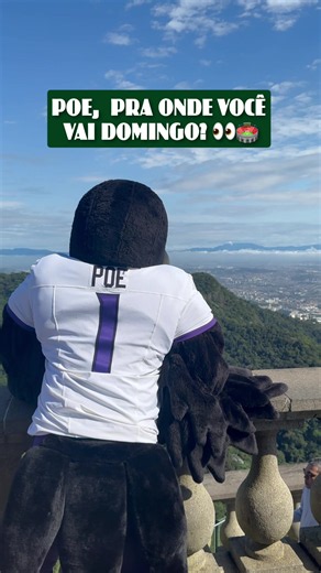 O mascote do @Baltimore Ravens já sabe que, neste domingo, o destino é o MARACA! 🤩🏟️