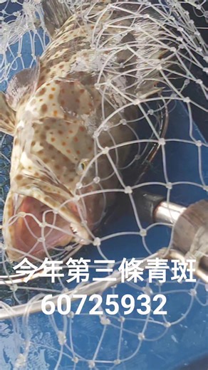 Chi Wa Ho on Reels