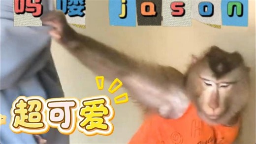 吗喽jason和妈妈二人转吃凉薯