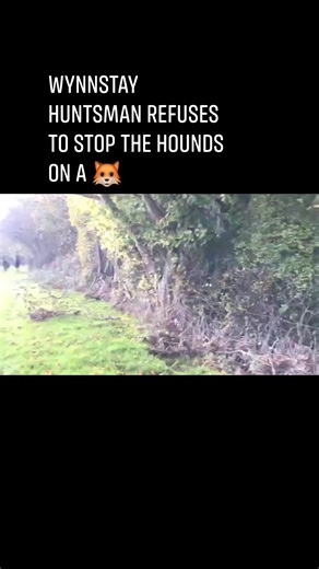 46K views · 197 reactions | Henry Bailey was blatantly hunting all day. 8.11.23 Totally out of control, trying to prove himself to his new followers. He obviously believes that moving north means he can get away with even more illegal hunting but he's wrong! You can see that the hounds hunted the fox through the wood and he stood back while they carried on across the field in front of our monitor. We think this fox got away. | Cheshire Monitors | Facebook