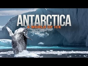 Antarctica Documentary: A Cinematic Journey to the Last Great Wilderness