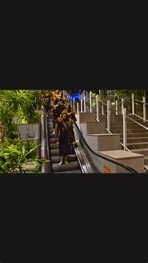 ✅🔰💯 | Logos Erex Bobo