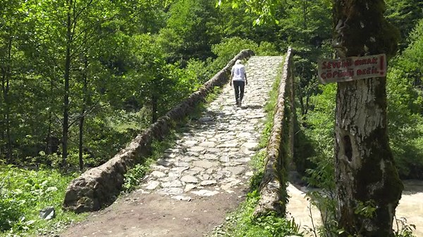 Blonde woman crossing historic stone arch bridge above forest river travel heritage detail. Female tourist walks woodland stream ancient masonry green valley summer water landscape texture. stone bridge, historic bridge, female traveler Stock Video Footage - Alamy